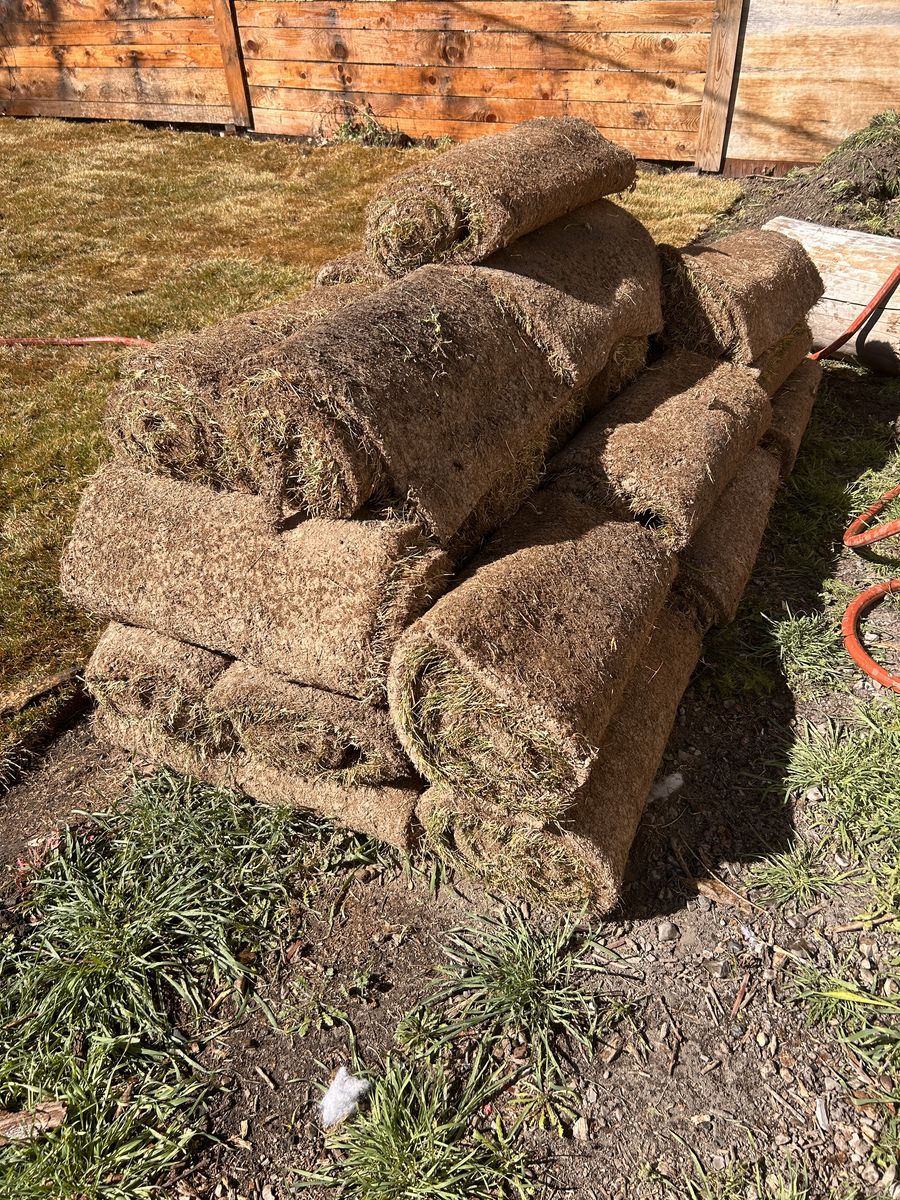 Sod for sale 75 dollars. About -  225 square feet