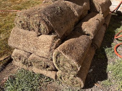 Sod for sale 75 dollars. About - 225 square feet