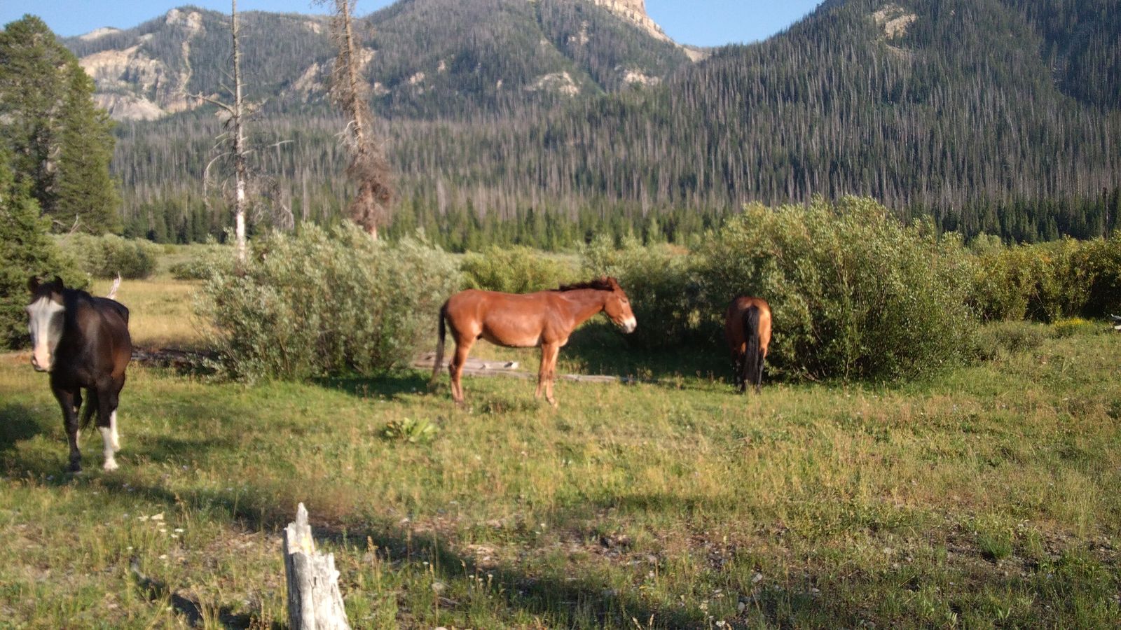 Main image 8