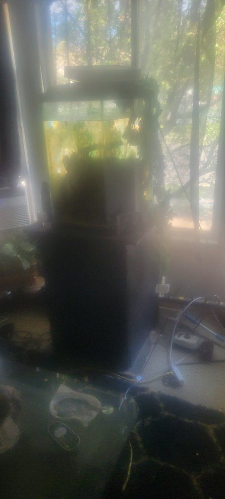 Glass Aquarium with Stand and Accessories