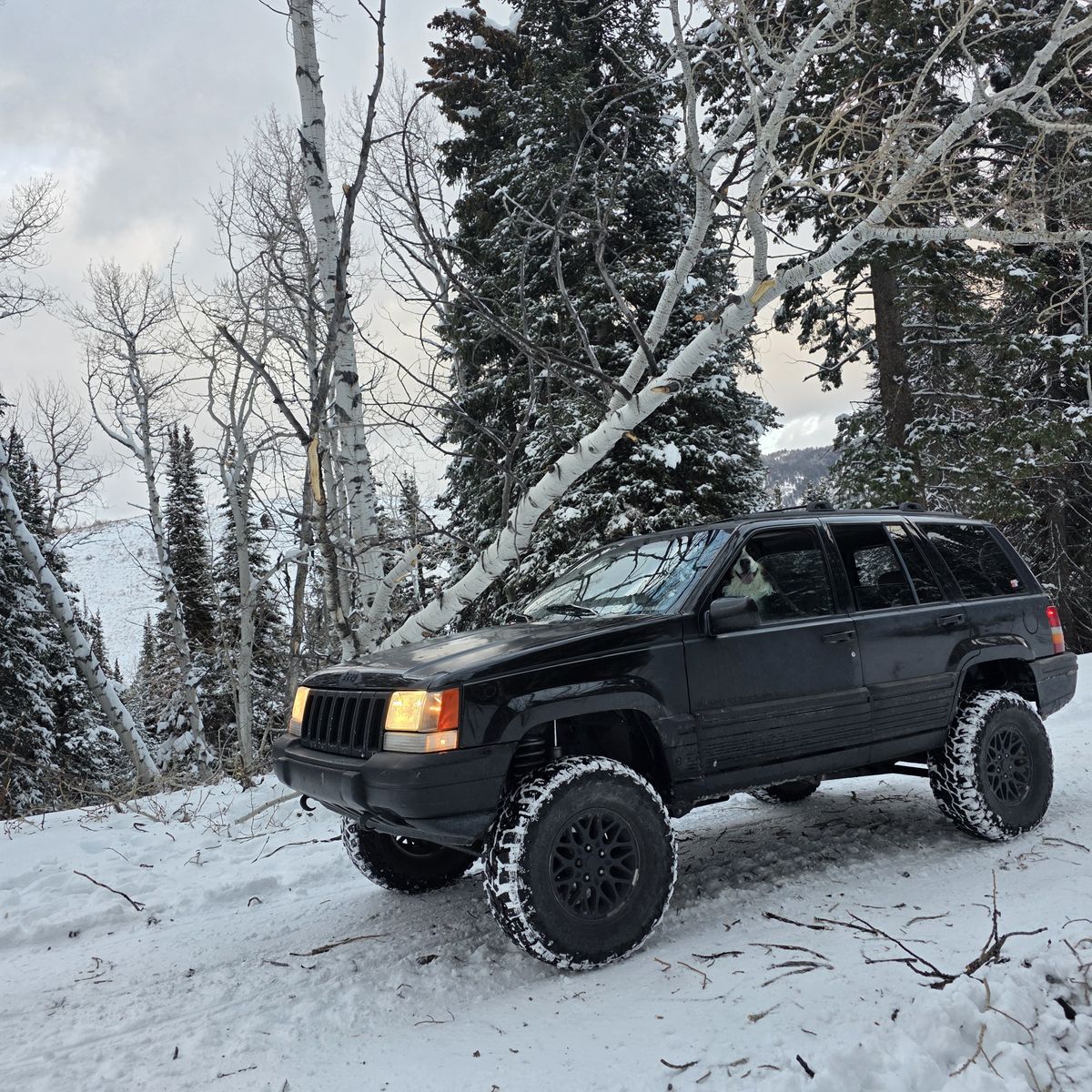 1995 JEEP GRAND CHEROKEE Limited