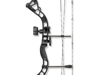 Compound Bow