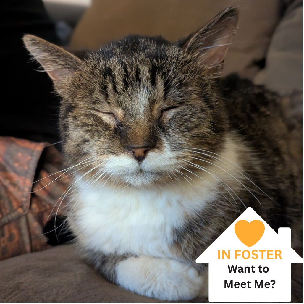 Hello my name is Stanley