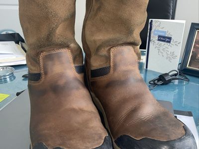 Men’s Georgia Workbooks size 11