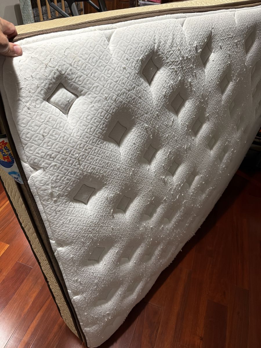 Mattress DealZZ Millard Pillow Top Mattress - Used Queen Size