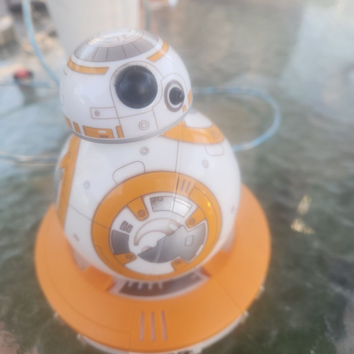 BB 8.       $100.00 best offer