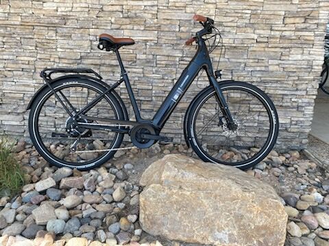 NEW Cannondale Adventure Neo 3.1 EQ Large