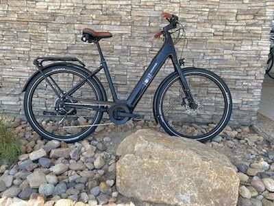 NEW Cannondale Adventure Neo 3.1 EQ Large