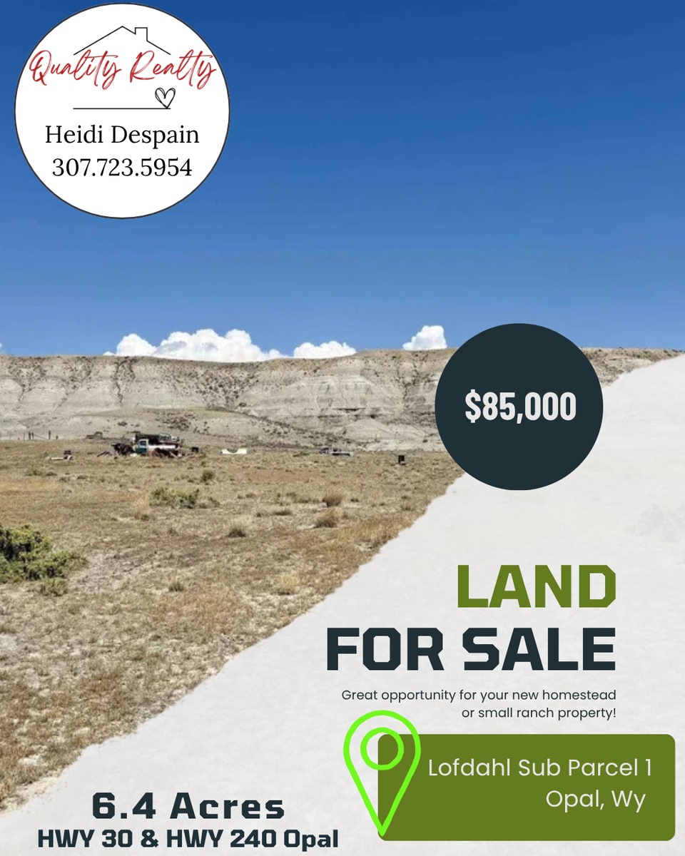 Lofdahl Sub Parcel 1 Opal, WY 