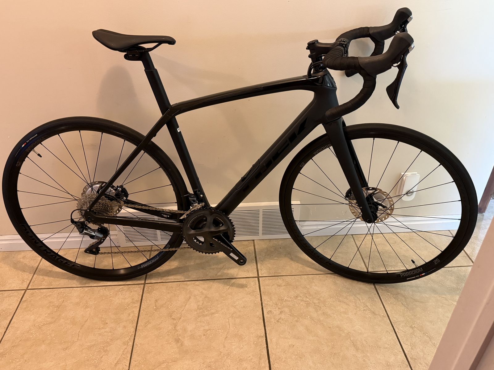 Trek Domane