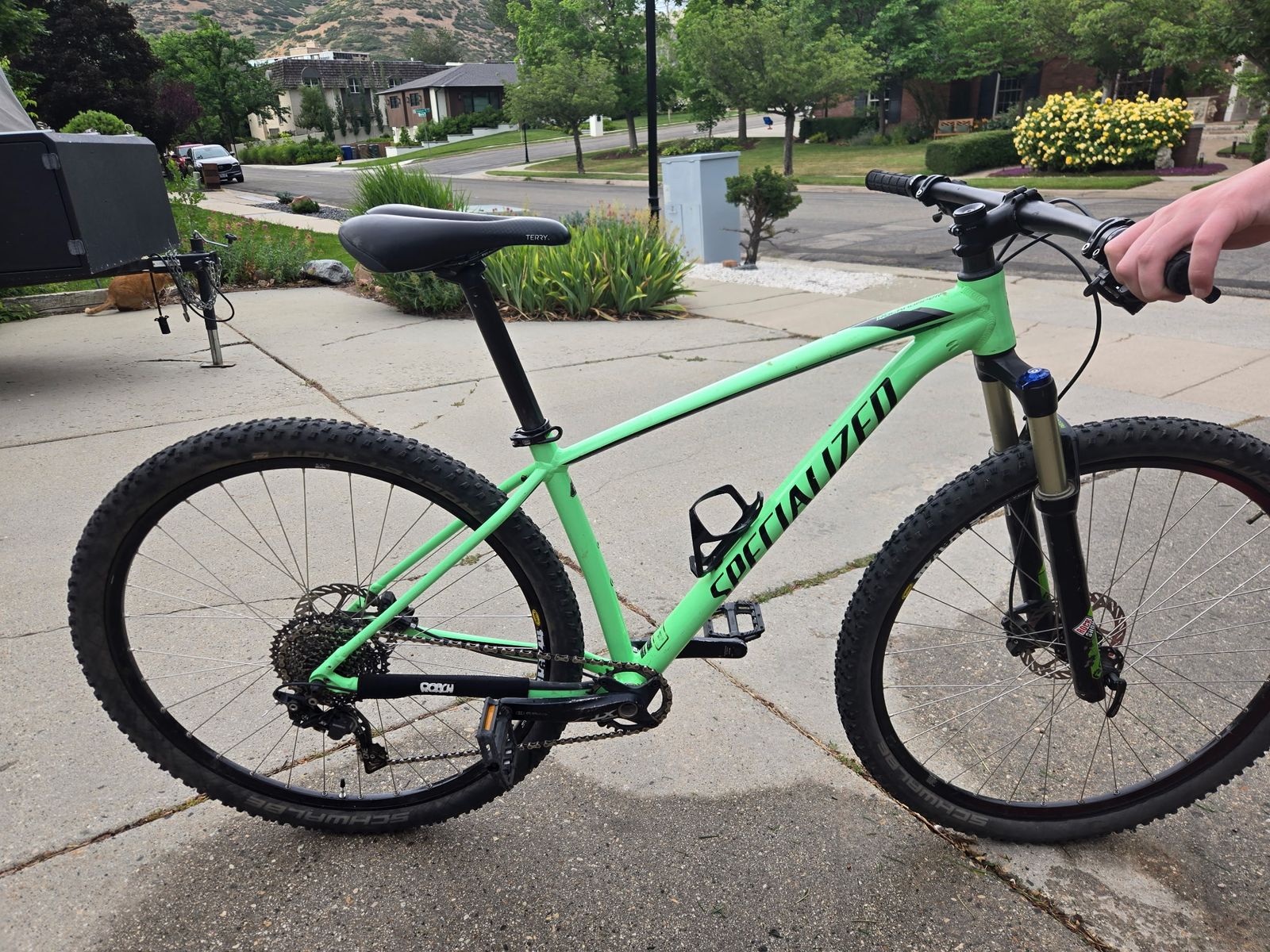 Specialized Rockhopper 29”
