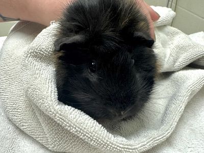 Hello my name is Zoe
