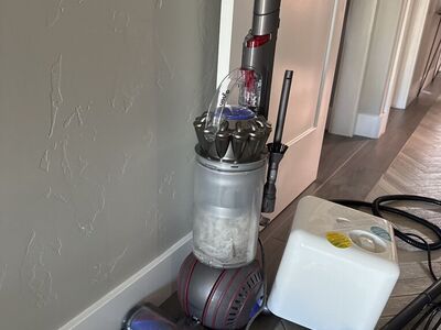 Dyson Vacuum Animal