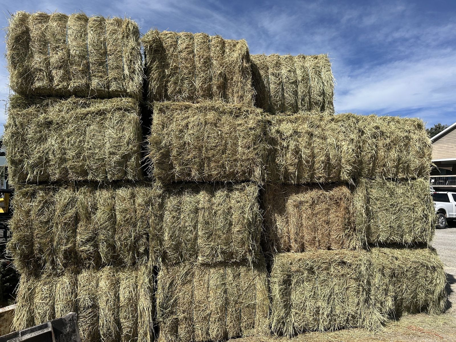 Grass Hay