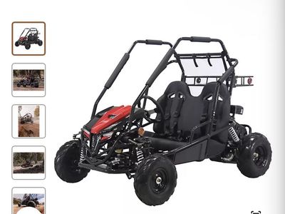 Coleman Powersports 196cc 2-Seater Gas-Powered Go Kart