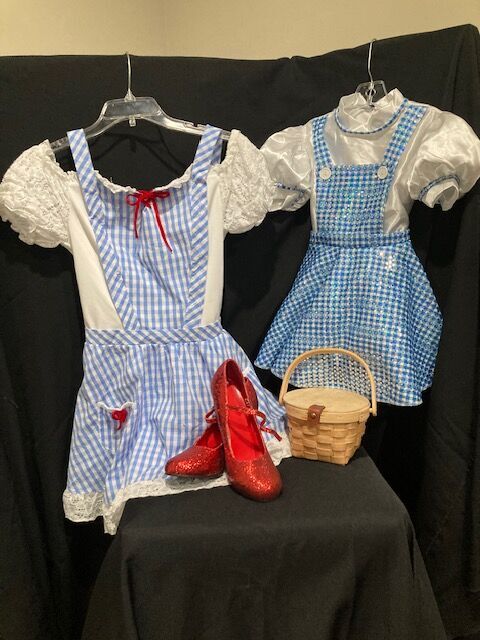 Wizard of Oz DOROTHY Set    Starting at $20