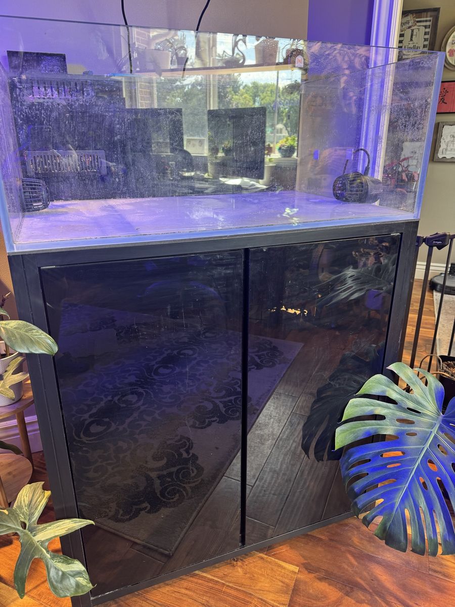 Cade Reef 900 / S2F Aquarium System - Modern Black Tank & Cabinet NOW cleaned and ready to go.