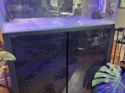 Cade Reef 900 / S2F Aquarium System - Modern Black Tank & Cabinet NOW cleaned and ready to go.