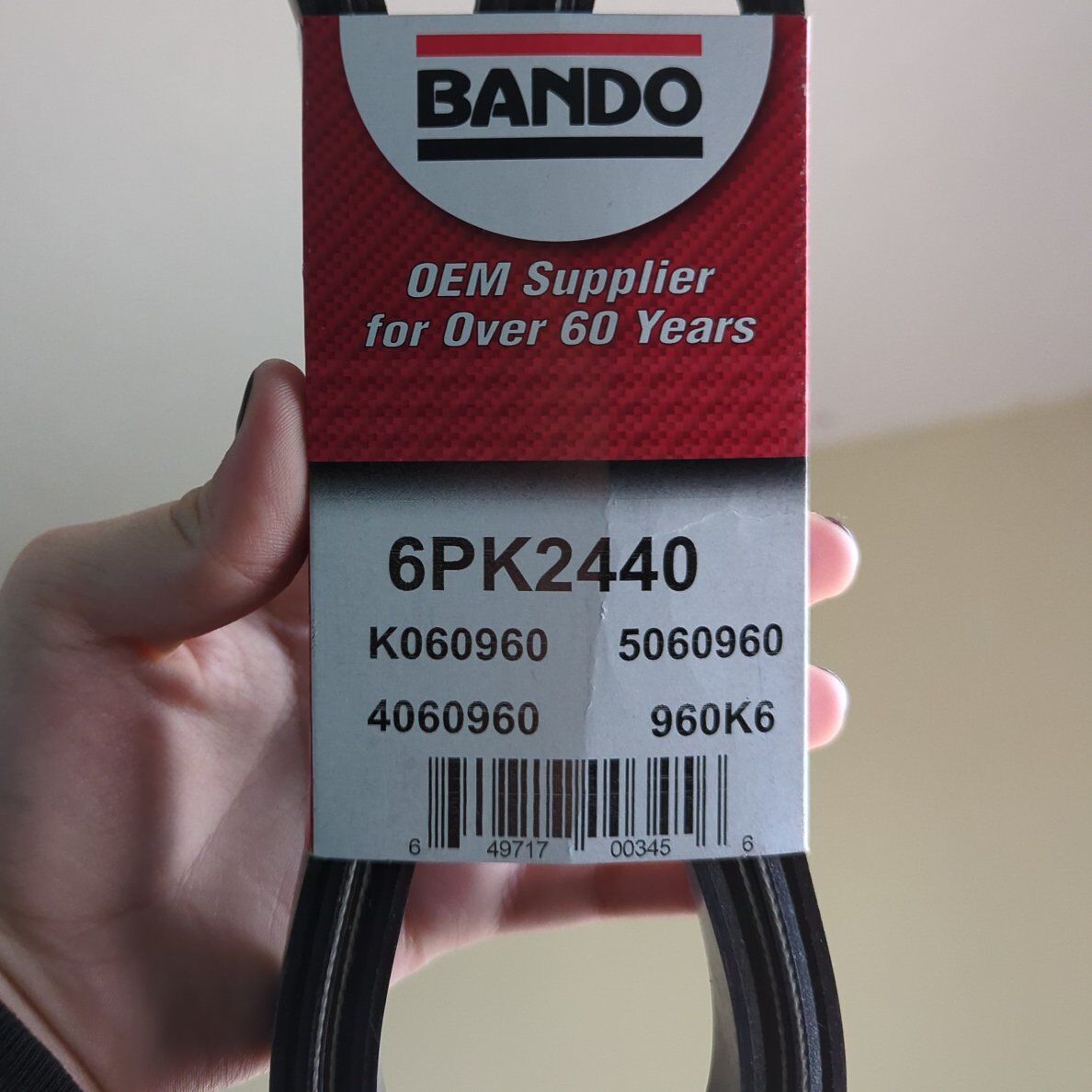 Serpentine Belt