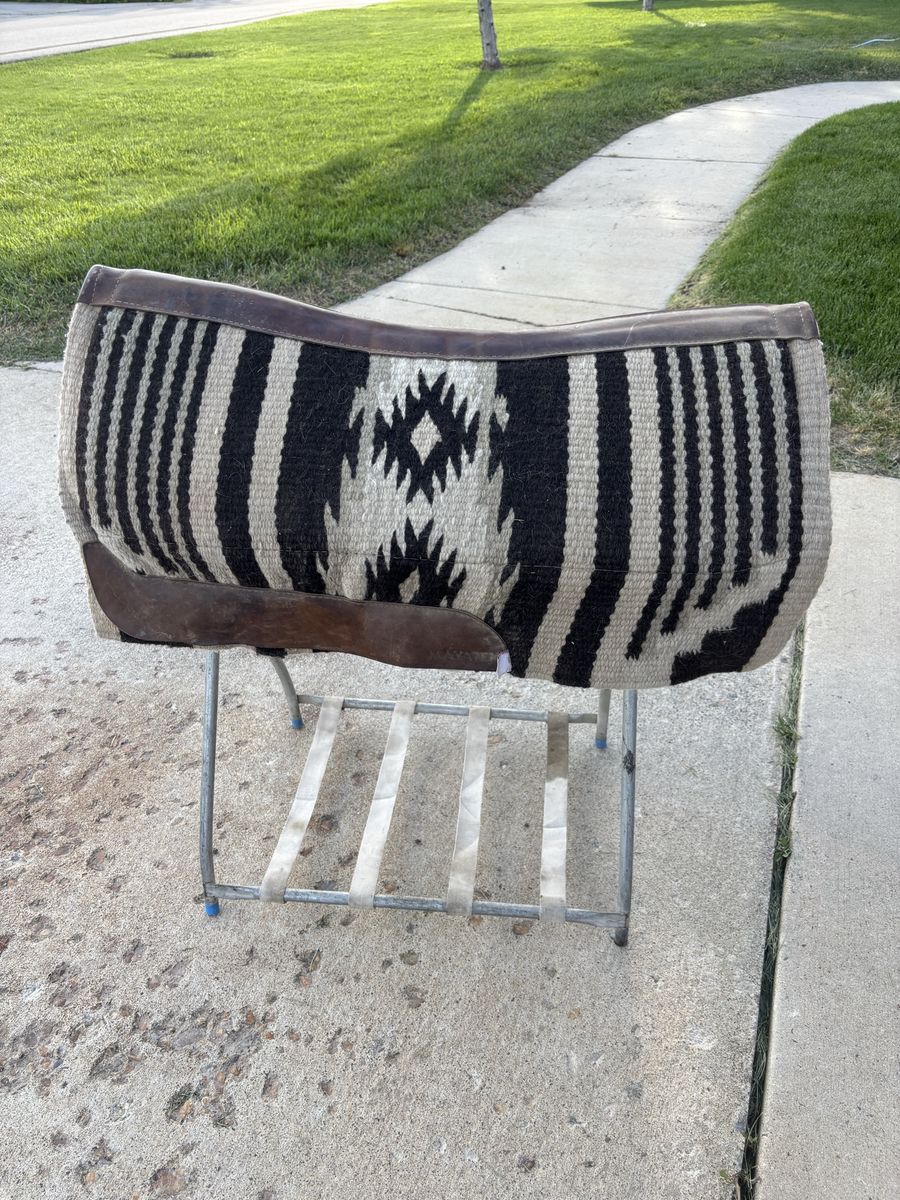 Zebra striped saddle pad
