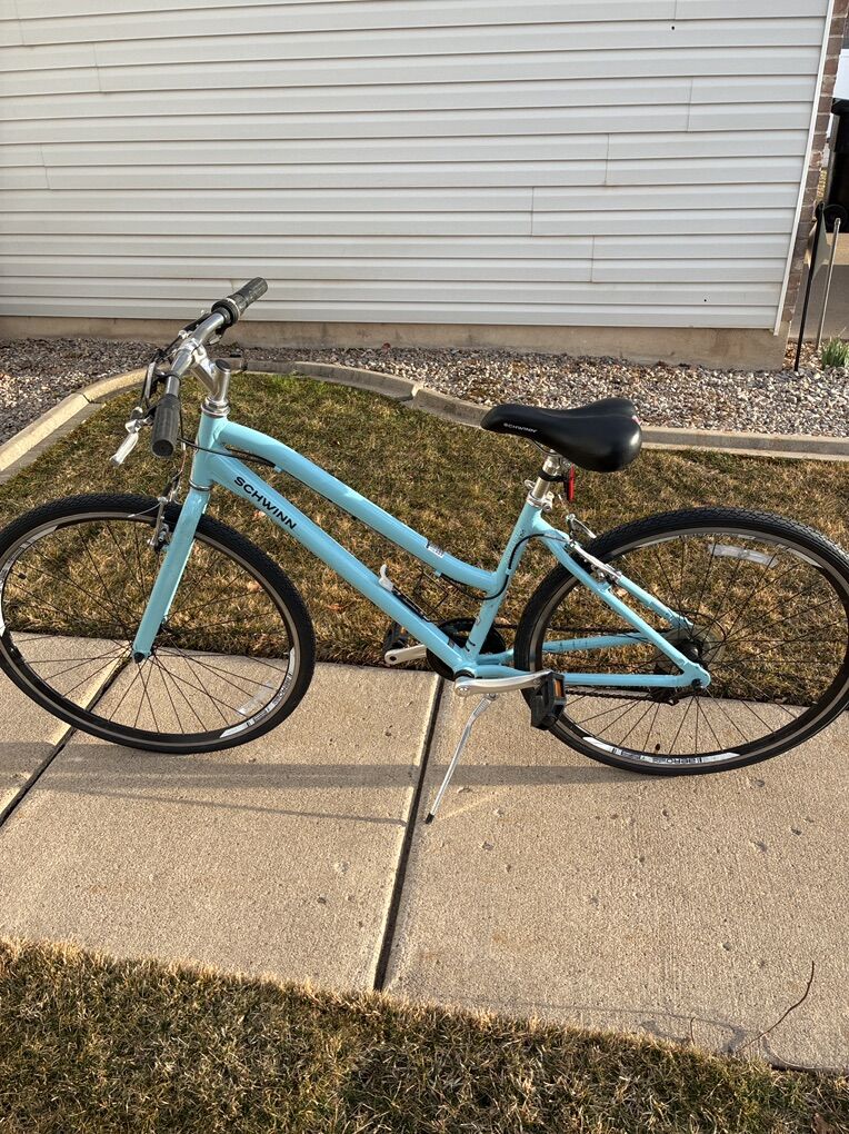 Schwinn Cruiser