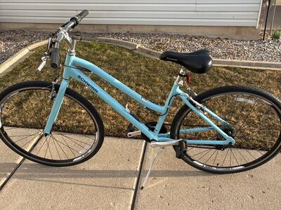 Schwinn Cruiser