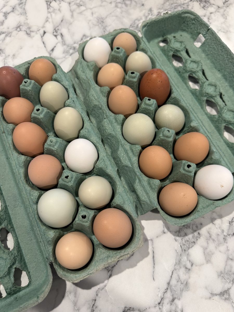 Filled Egg Carton