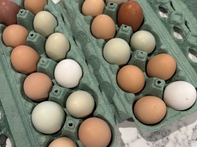Filled Egg Carton