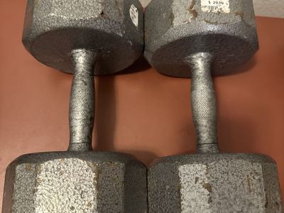 VTX 40 lb Dumbbells (Pair) – $70