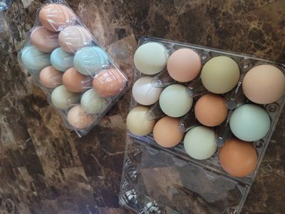 Farm Fresh Eggs