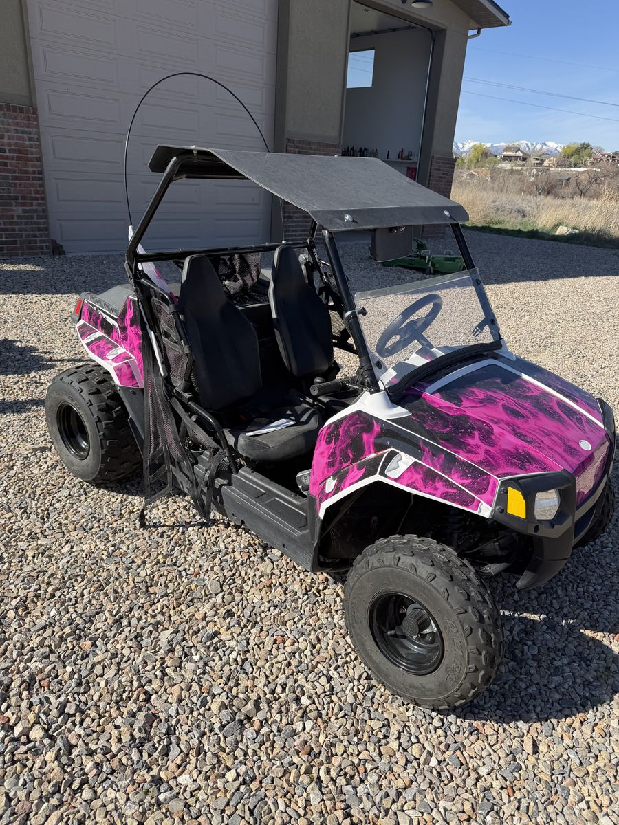 2017 Mini RZR 520