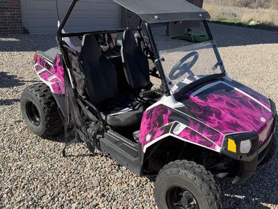 2017 Mini RZR 170