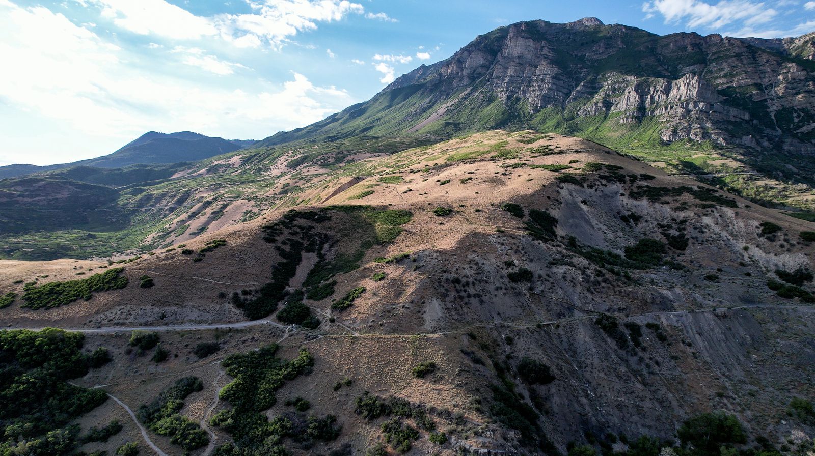 Main image 15