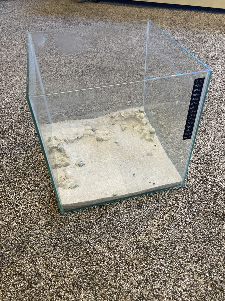 5 gallon rimless aquarium, no lid