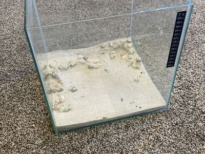 5 gallon rimless aquarium, no lid