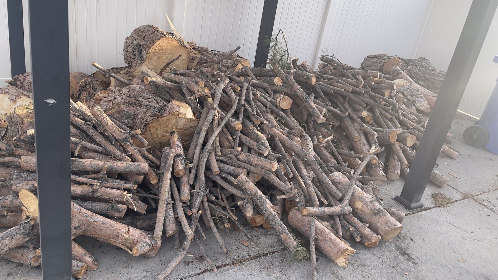 Pine firewood
