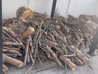 Pine firewood