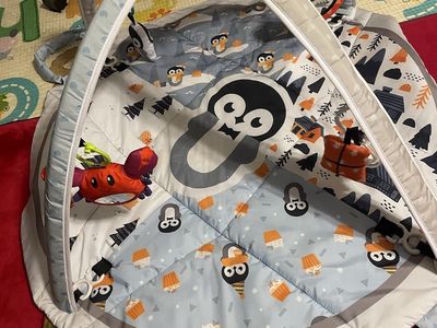 Baby Play Mat