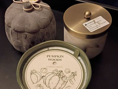 3 New Different Pumpkin & Spice Candles