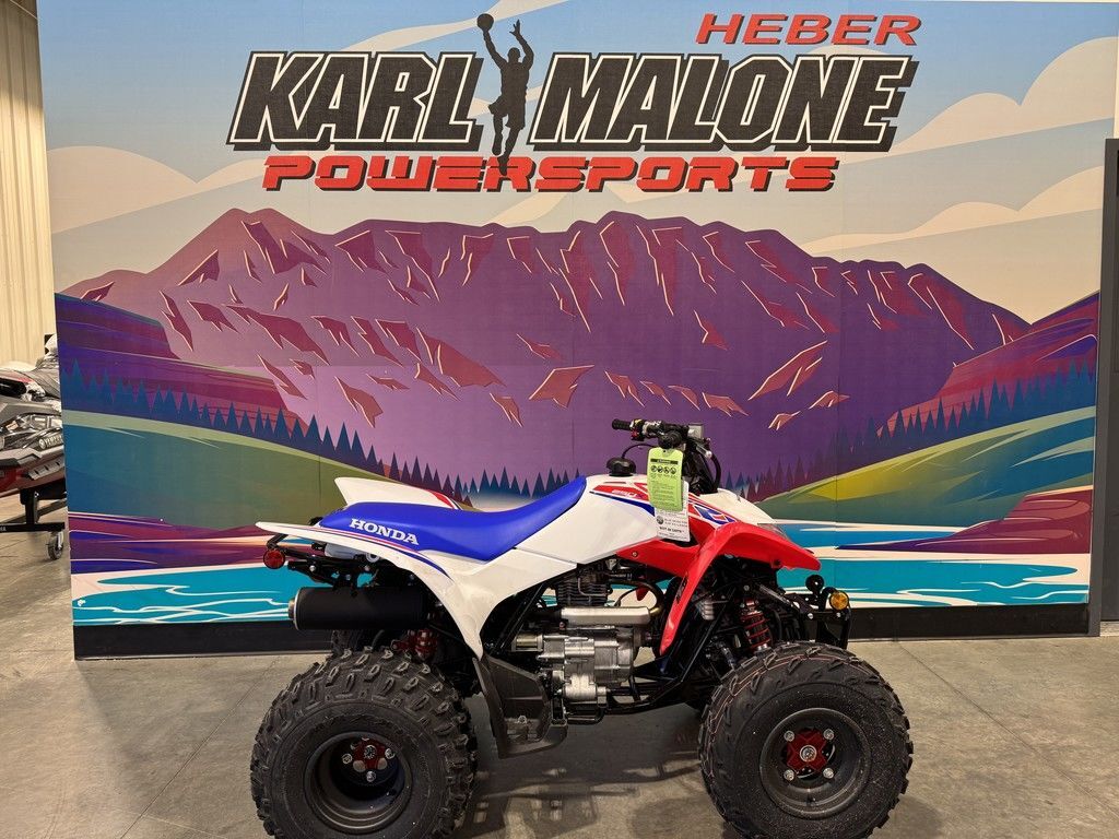 2026 Honda® TRX250X