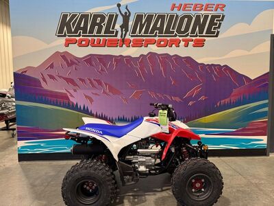 2026 Honda® TRX250X