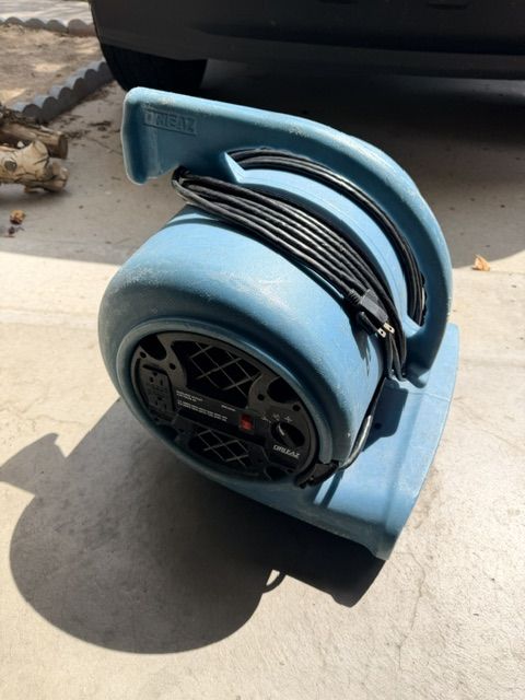 Carpet fans