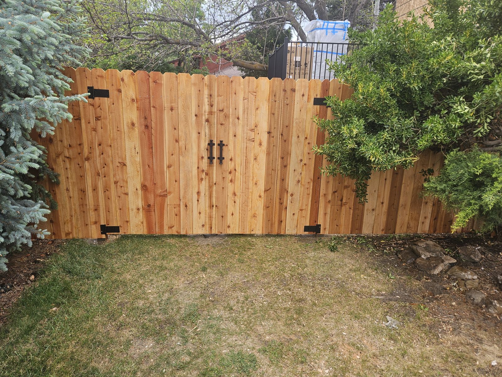 Main image 146
