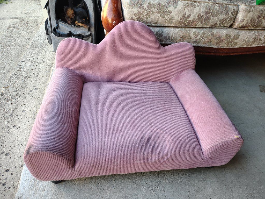 Dog Couch