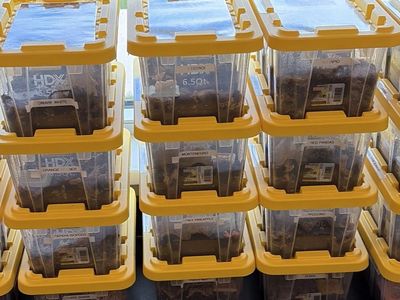 Stackable Bio Active Starter Kits, Isopods and All!