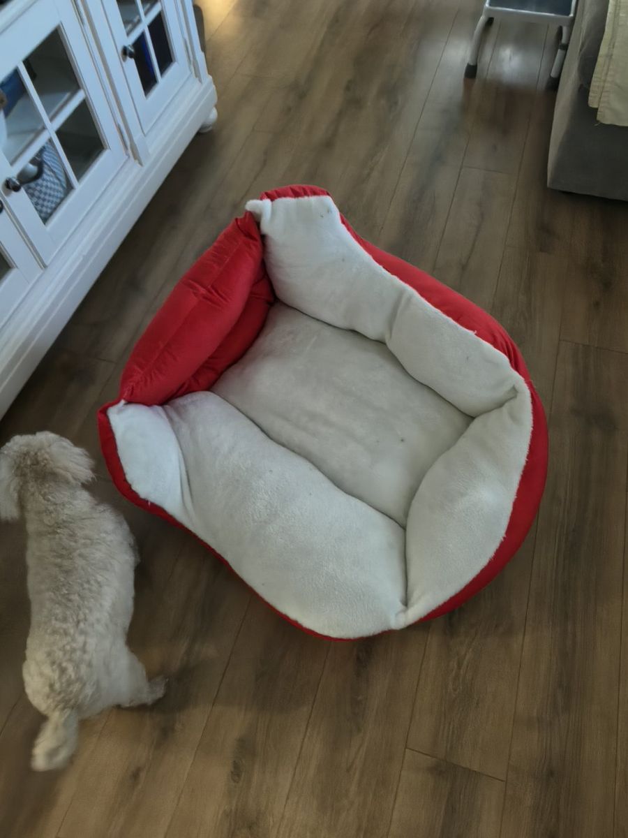 Red and White Sleigh Shaped Plush Pet Bed (For a Small Dog)