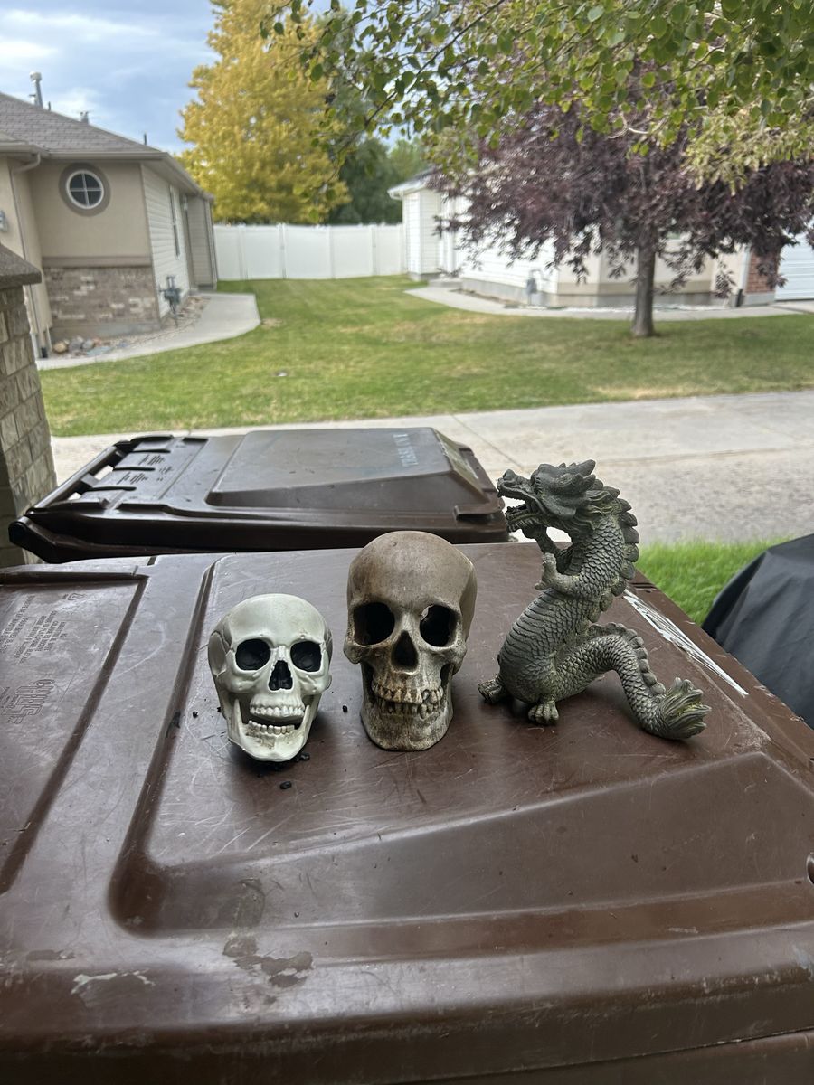 Reptile decor