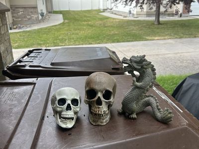 Reptile decor