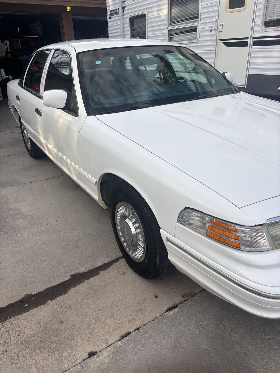 Ford Crown Victoria Sedan - White - Used
