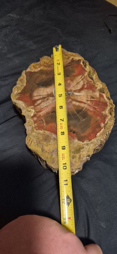 Main image 8